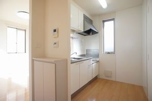 アクアブロー　Ⅱ 201号-4