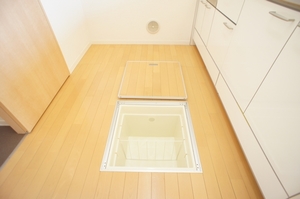 ラフィーネ真岡 101号-5