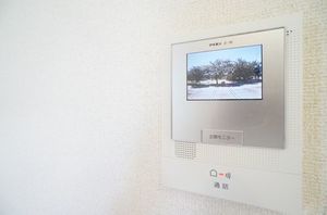 メゾン・ラカージュ　Ⅴ 101号-11