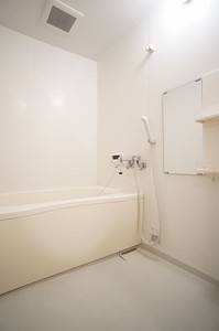 シャトレーンさやか 105号-8