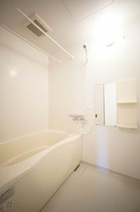 ベレオロシェ 105号-9