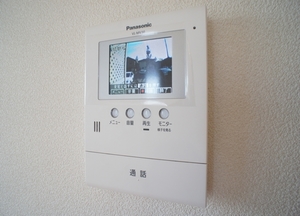 プロスパー板橋 203号-11