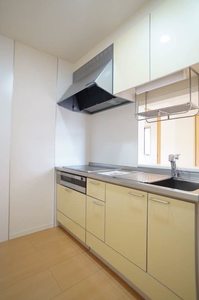 ダンデライオン　Ｈ 201号-4