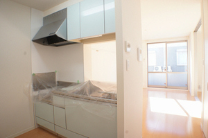 ベネフィスＡ 102号-6