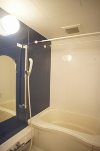 ベネフィスＡ 102号-7