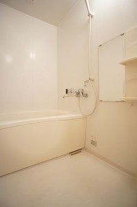 日光ハイツ　Ｄ 102号-4