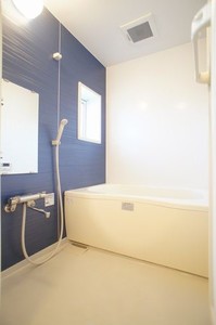 ヴィーガ 201号-6