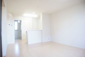 ベイサージュⅣ 202号-3