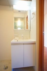 ボーセゾンB 101号-8