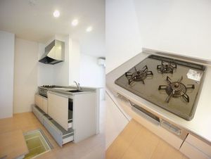 Ｒｅｓｉｄｅｎｃｉａ　Ｖｅｒｄｅ　Ａ 102号-4