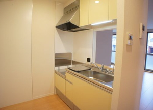 リヴェールＬ 101号-5