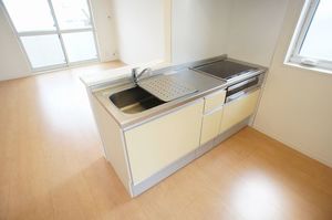 ラ・ヴィータ B 202号-4