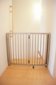 プラティニ　Ⅰ 203号-11