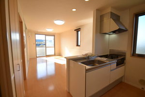 プラティニ　Ⅰ 205号-3