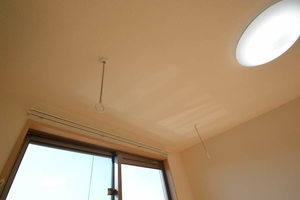 プラティニ　Ⅰ 205号-9