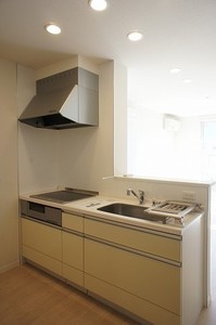 リオン・プレアデス 102号-6