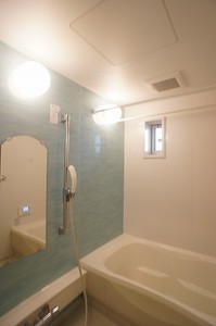 リオン・プレアデス 102号-7