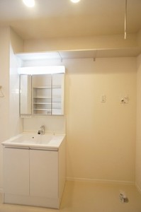 リオン・プレアデス 102号-8