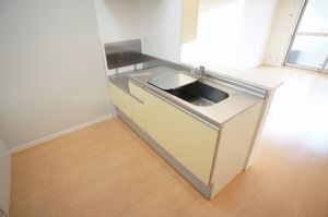 プラティニ Ⅱ 203号-4