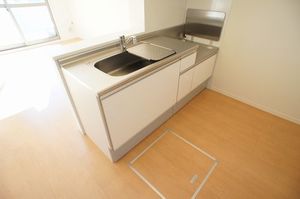 ｅｍｂｅｌｌｉｒ　Ⅰ 102号-9