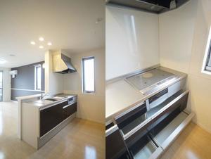 Vita Seed Ⅰ 202号-5