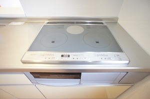 ヴェルディール弐番館 203号-4