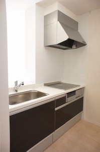 ヴィコロ壱番館 203号-4