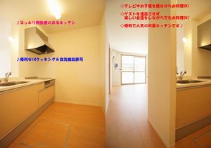 ヴィコロ弐番館 102号-9
