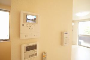 ラフィシアB 101号-4