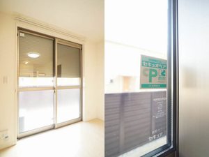 ラフィシアB 101号-5