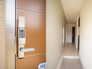 ラフィシアB 101号-11