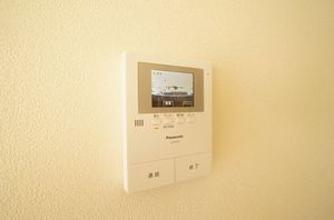 ｇｅｍ　ｖｉｏｌａ　Ａ 203号-5