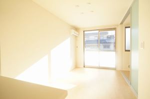 gem viola B 102号-3