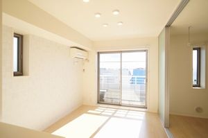 gem viola D 301号-3