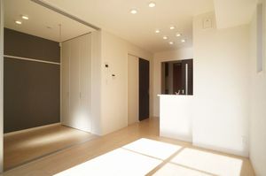 gem viola D 301号-4