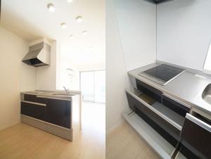 gem viola D 301号-5