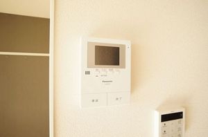 gem viola D 301号-6