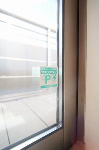 gem viola D 301号-7