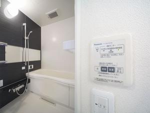 gem viola D 301号-9