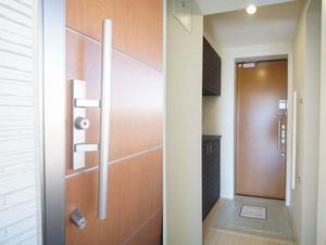 gem viola D 301号-11