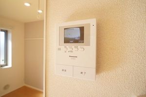 gem viola E 101号-6