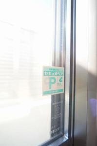 gem viola E 101号-7