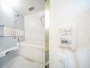 gem viola E 101号-9