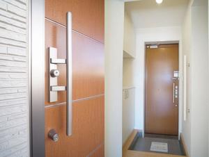 gem viola E 101号-11