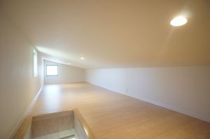 RIZIERE ANNEX 102号-9