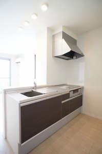 Ｗｅｌｌ　Ｐｌａｃｅ 205号-4