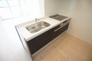 カーサ　シリウス 105号-3