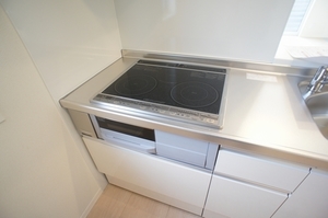 ラヴィエール 201号-5