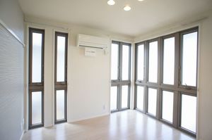 Ｓａｎｓｆｉｎｅ　Ｖｉｔａ 207号-10