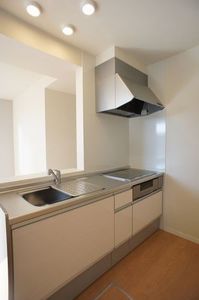 Ｓａｎｓｆｉｎｅ　Ｒａｄｉｃｅ 114号-3